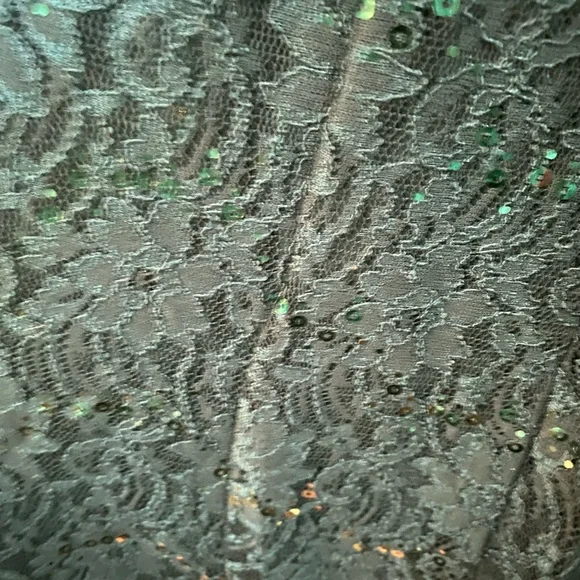 green emerald velvet dress Jules & Cleo Size 14 Lt. Green Floral Shimmer NEW Formal Wear Formal –  Another Season Consignments main image 0